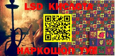 стаф Новодвинск