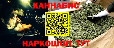 стаф Новодвинск