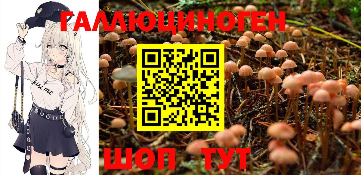 Псилоцибиновые грибы прущие грибы  Галлюциногенные грибы Psilocybe  Вход с VPN  Удомля 