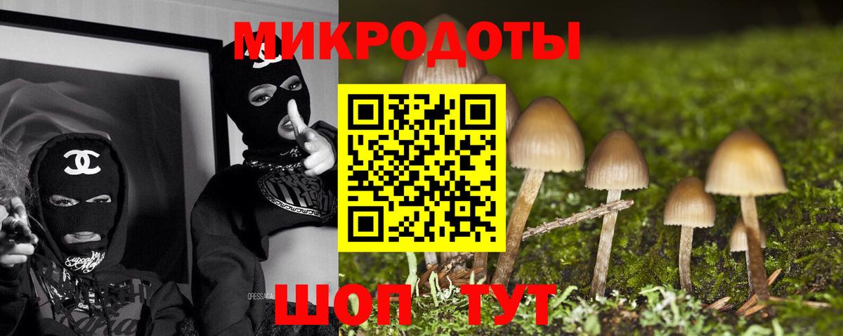 Галлюциногенные грибы прущие грибы Удомля